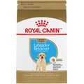 Royal Canin Breed Health Nutrition Labrador Retriever Puppy Dry Dog Food, 30-lb bag