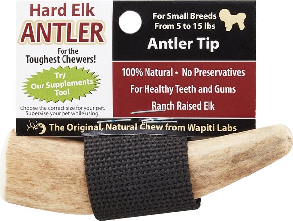 Wapiti Labs Elk Antler Tips Dog Chews, Antler Tip slide 1 of 7