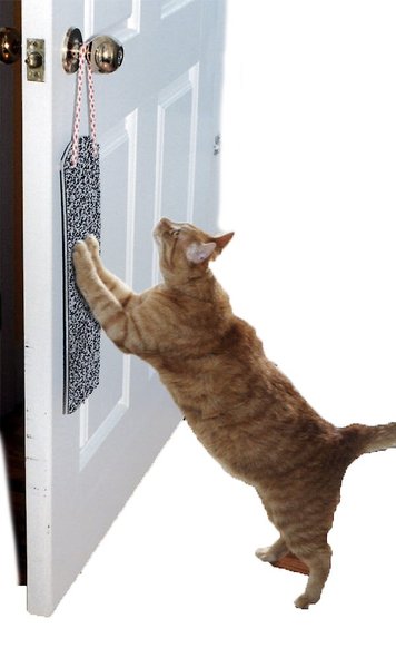 Omega Paw Door Hanging Cat Scratchy Pad slide 1 of 6
