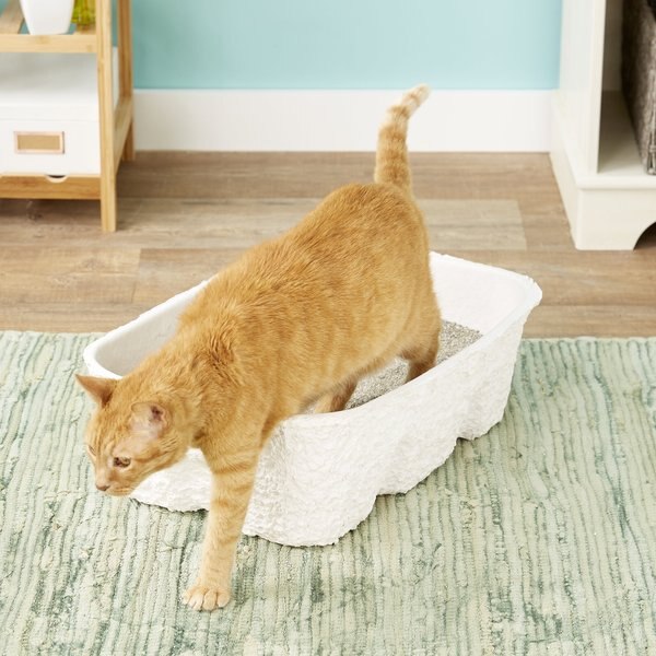 Nature's Miracle Disposable Cat Litter Box, Jumbo, 2 count slide 1 of 6