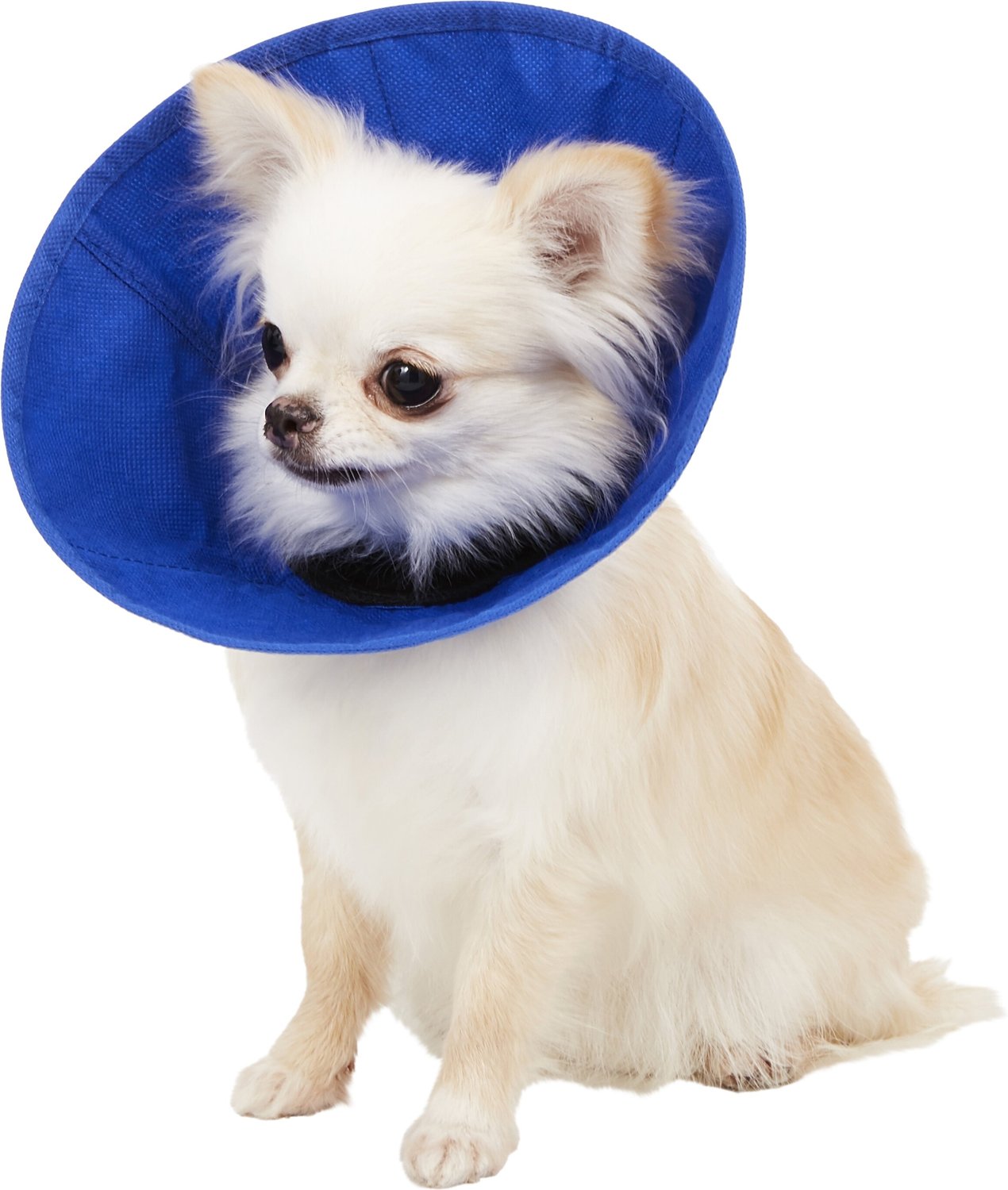 soft collar for dogs