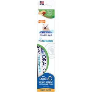 Nylabone Advanced Oral Care Natural Peanut Flavor Dog Toothpaste, 2.5-oz tube