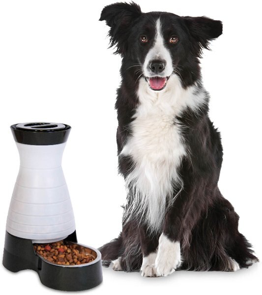 PetSafe Healthy Pet Food Station Gravity Refill Dog & Cat Feeder, 16-cup slide 1 of 9