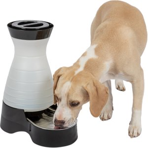 PetSafe Healthy Gravity Refill Dog & Cat Waterer, 128-oz