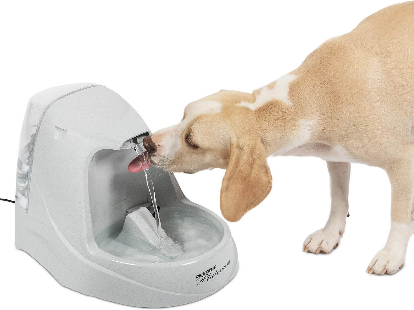 Drinkwell Platinum Plastic Dog & Cat Fountain