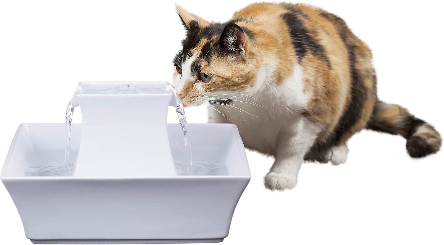 cat fountain easy to clean