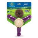 Busy Buddy Jack Treat Dispenser Tough Dog Chew Toy, Large