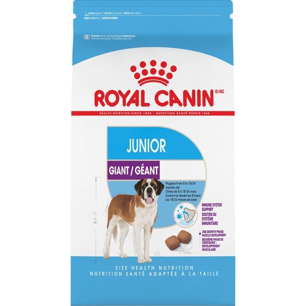 royal canin junior medium dog