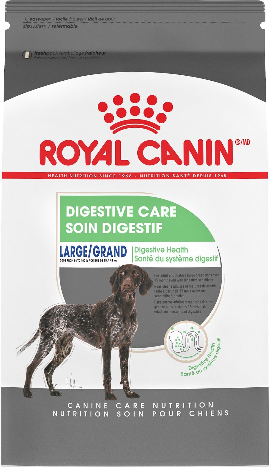 officieel Nutteloos Ontcijferen ROYAL CANIN Large Digestive Care Dry Dog Food, 6-lb bag - Chewy.com