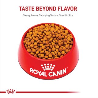 Royal Canin Golden Retriever Puppy Dry Dog Food 30 Lb Bag Chewy Com