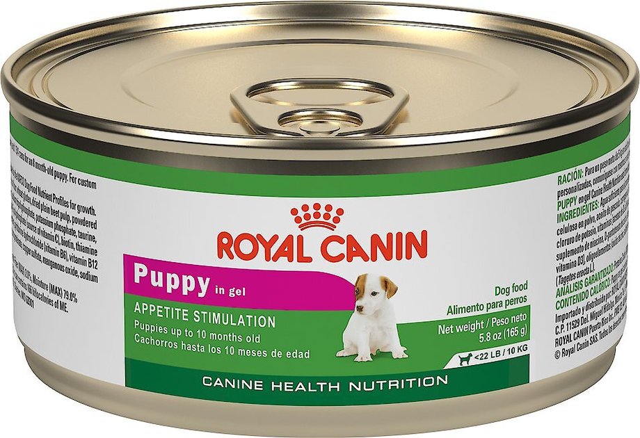 natural supplement to increase dog's appetite