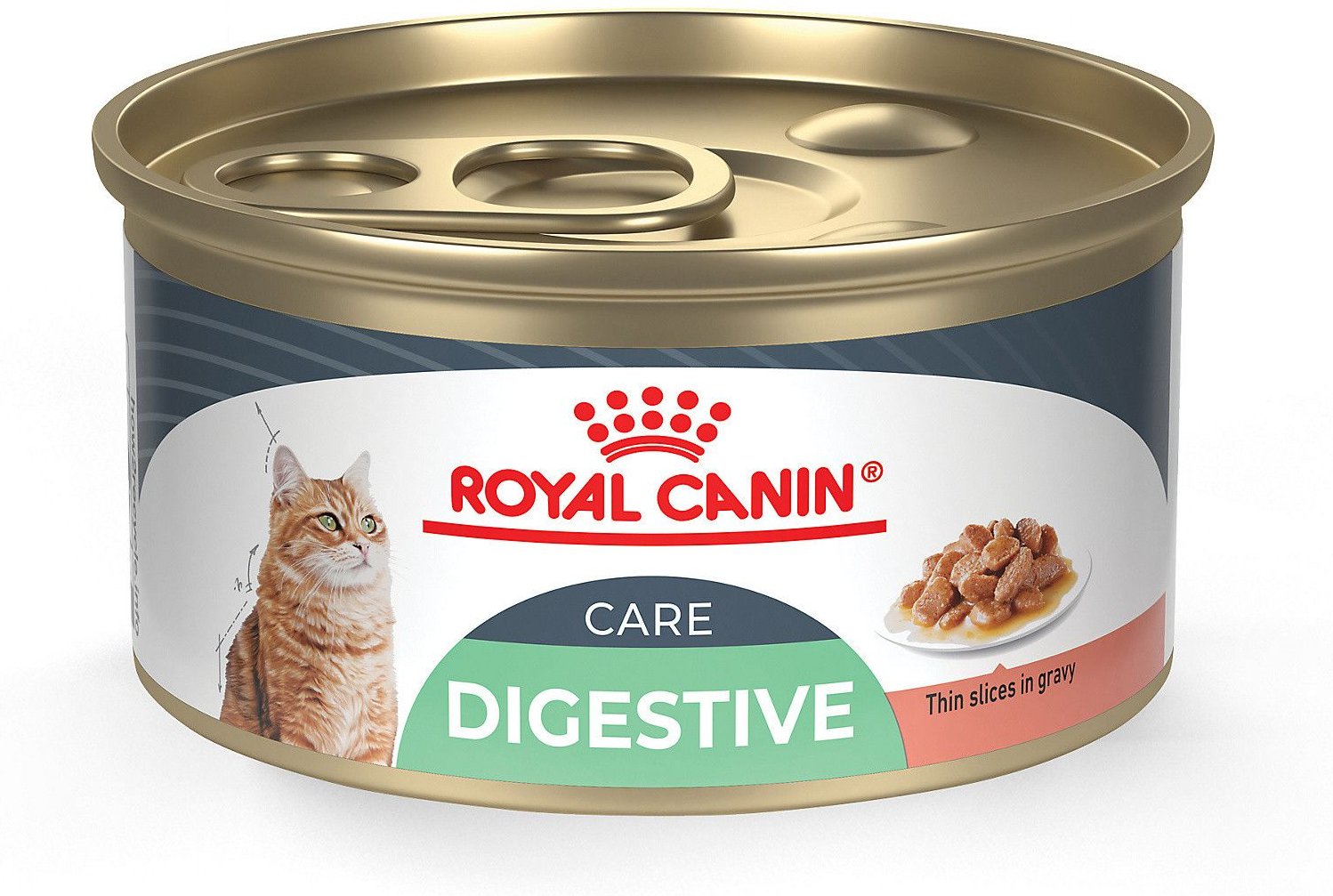 ROYAL CANIN Digest Sensitive Thin 