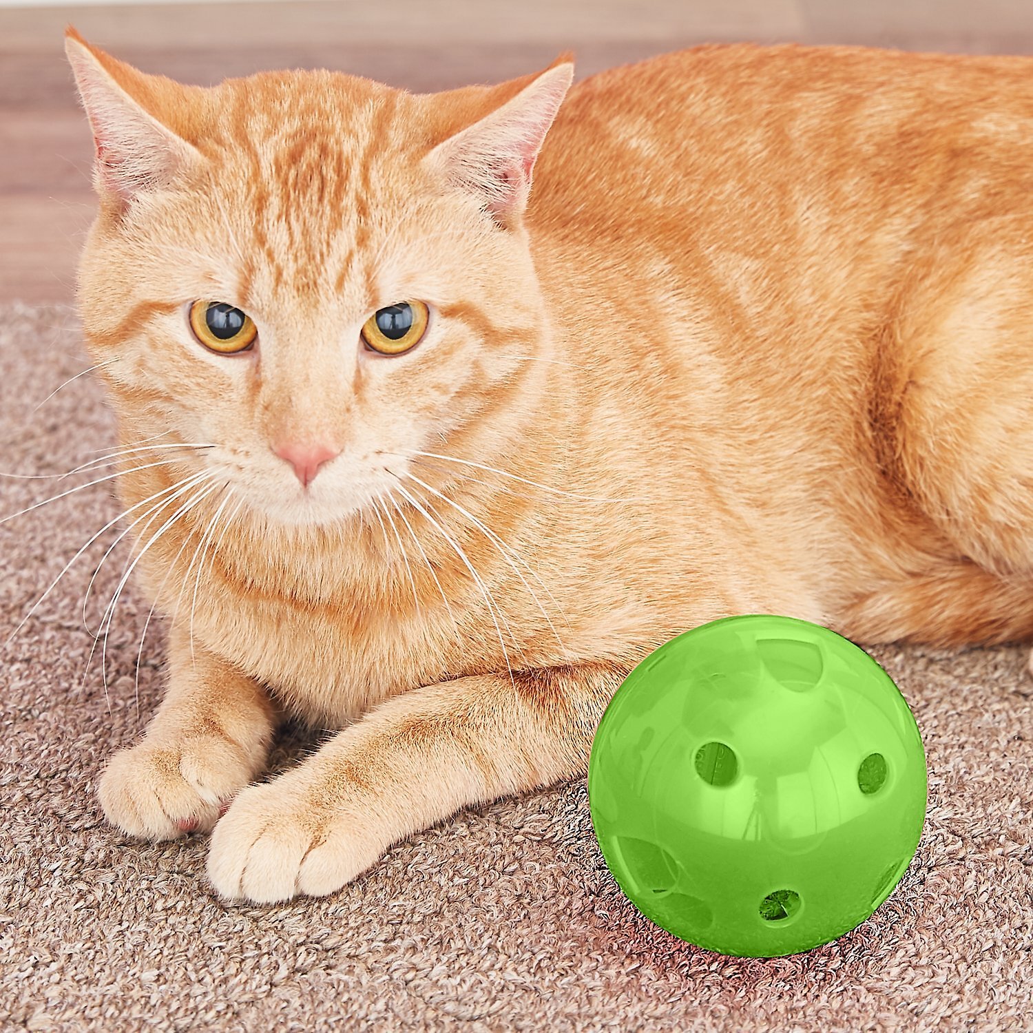 slimcat feeder ball
