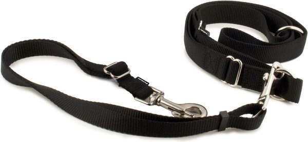 PetSafe Nylon Hands-Free Running Dog Leash, Black slide 1 of 6
