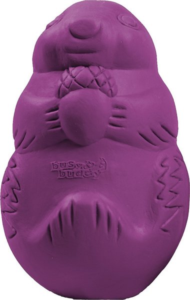 Busy Buddy Squirrel Dude Treat Dispenser Tough Dog Chew Toy, Small slide 1 of 8