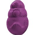 Busy Buddy Squirrel Dude Treat Dispenser Tough Dog Chew Toy, Small