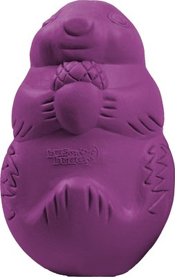Busy Buddy Squirrel Dude Treat Dispenser Tough Dog Chew Toy, slide 1 of 1