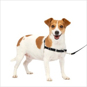PetSafe Easy Walk Dog Harness, Black/Silver, Small