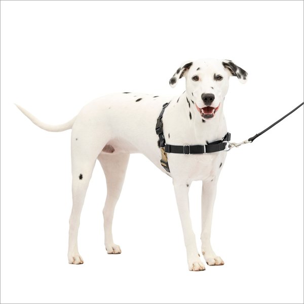 PetSafe Easy Walk Dog Harness, Black/Silver, Medium/Large slide 1 of 11