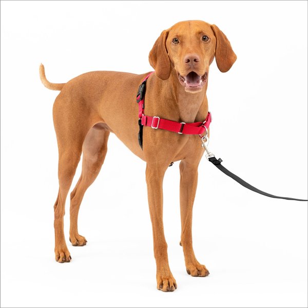 PetSafe Easy Walk Dog Harness, Red/Black, Medium slide 1 of 10