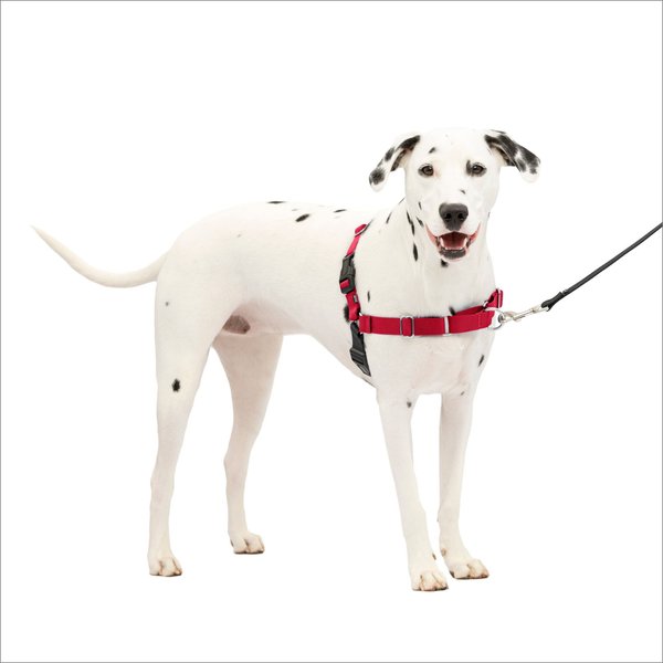 PetSafe Easy Walk Dog Harness, Red/Black, Medium/Large slide 1 of 12