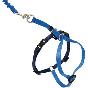 PetSafe Come With Me Kitty Nylon Cat Harness & Bungee Leash, Royal Blue/Navy, Medium: 10.5 to 14-in chest