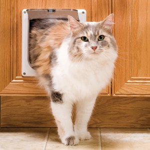 PetSafe 2-Way Locking Cat Door