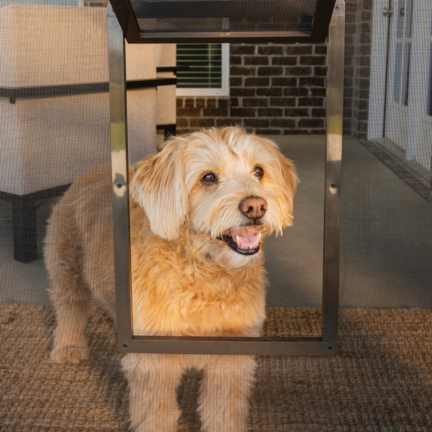 eXtreme Single Flap Aluminum Dog Door - XL - eXtreme Dog Door - Best Dog  Doors 2021