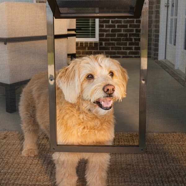 PetSafe Window & Porch Screen Pet Door, Small slide 1 of 7