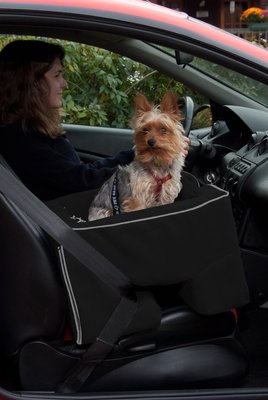 Chewy Dog Booster Seat, Chewy Dog Car Seats