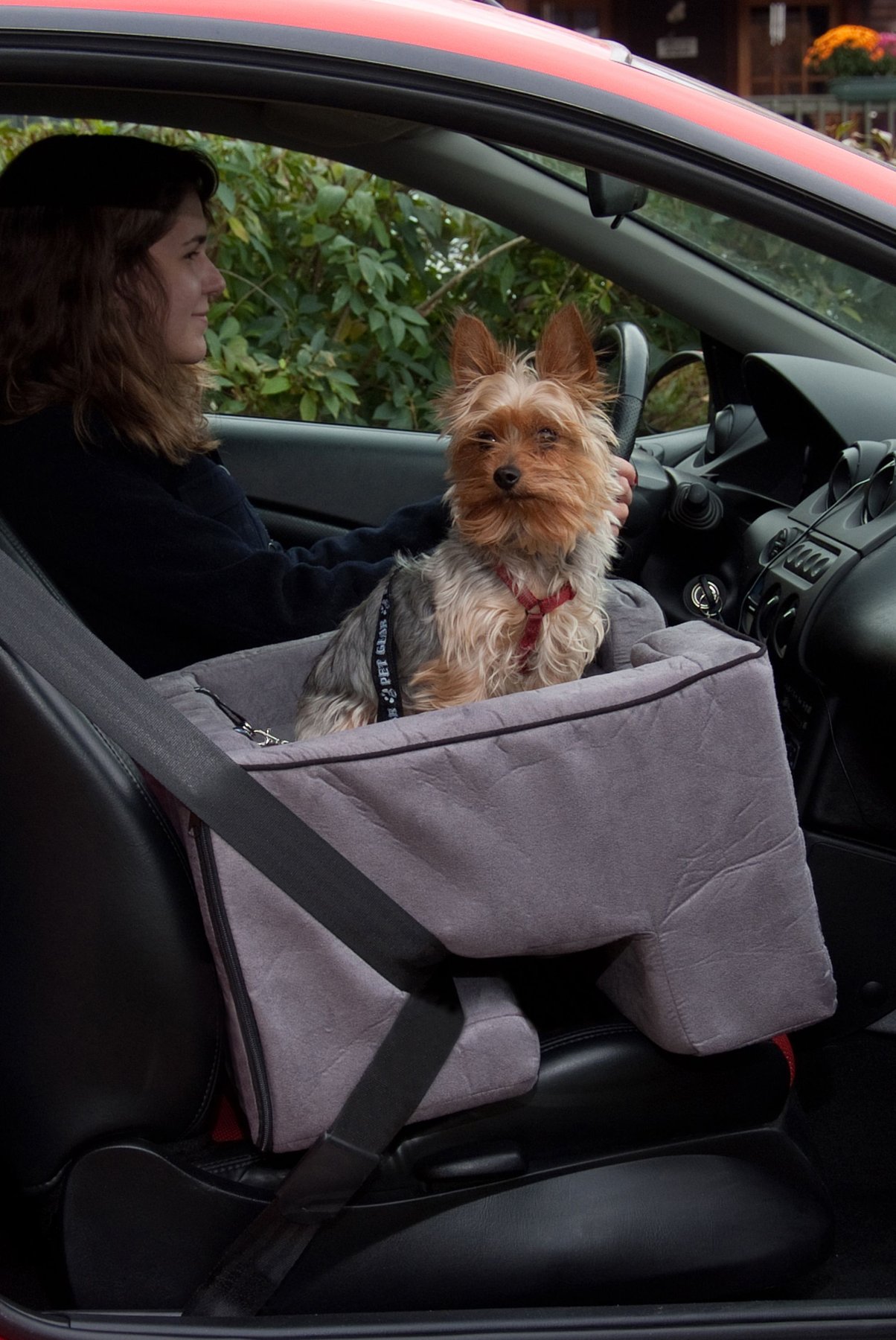 Safety Tether Included 3 Colors Removable Comfort Pillow Installs in Seconds Pet Gear Lookout Booster Car Seat 2 Sizes No Tools Required