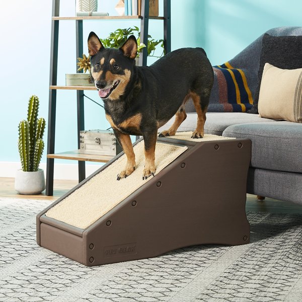 Pet Gear Cat & Dog Stairs & Ramp, Chocolate slide 1 of 5
