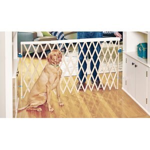 MyPet Wood Expandable Swing Gate for Dogs & Cats