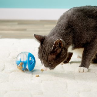 cat food ball toy