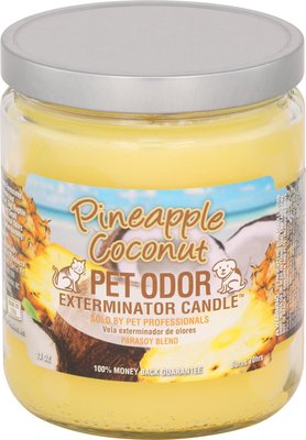 Pet Odor Exterminator Pineapple Coconut Deodorizing Candle, slide 1 of 1