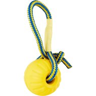 Starmark Swing 'n Fling DuraFoam Ball Dog Toy