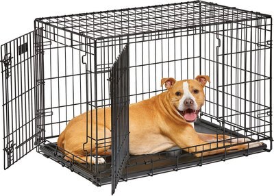 MidWest LifeStages Double Door Dog Crate, 36-in - Chewy.com