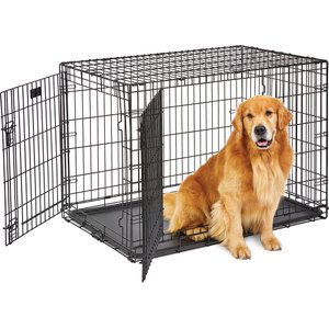 MidWest LifeStages Double Door Collapsible Wire Dog Crate, 42 inch