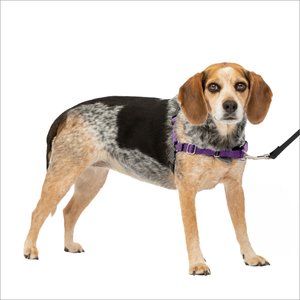 Breathable Adjustable Comfort for Small Medium Large Dog Best for Training Walking Camo XL Free Leash Included East-Bird No Pull Dog Harness
