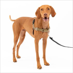 PetSafe Easy Walk Dog Harness, Fawn/Brown, Medium