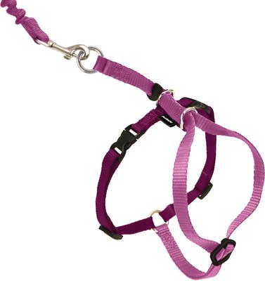 PetSafe Come With Me Kitty Nylon Cat Harness & Bungee Leash, slide 1 of 1