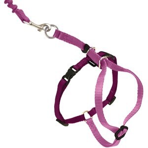 PetSafe Come With Me Kitty Nylon Cat Harness & Bungee Leash, Dusty Rose/Burgundy, Large: 13 to 18-in chest