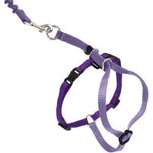 PetSafe Come With Me Kitty Nylon Cat Harness & Bungee Leash, Lilac/Deep Purple, Medium: 10.5 to 14-in chest