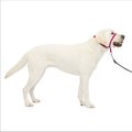 PetSafe Gentle Leader Padded No Pull Dog Headcollar, Raspberry, Large: 11 to 24-in neck
