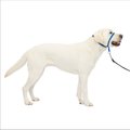 PetSafe Gentle Leader Padded No Pull Dog Headcollar, Royal Blue, Large: 11 to 24-in neck