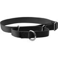 PetSafe Nylon Martingale Dog Collar, Black, Large: 14 to 20-in neck, 1-in wide