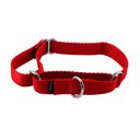 PetSafe Nylon Martingale Dog Collar, Red, Medium: 10 to 16-in neck, 3/4-in wide