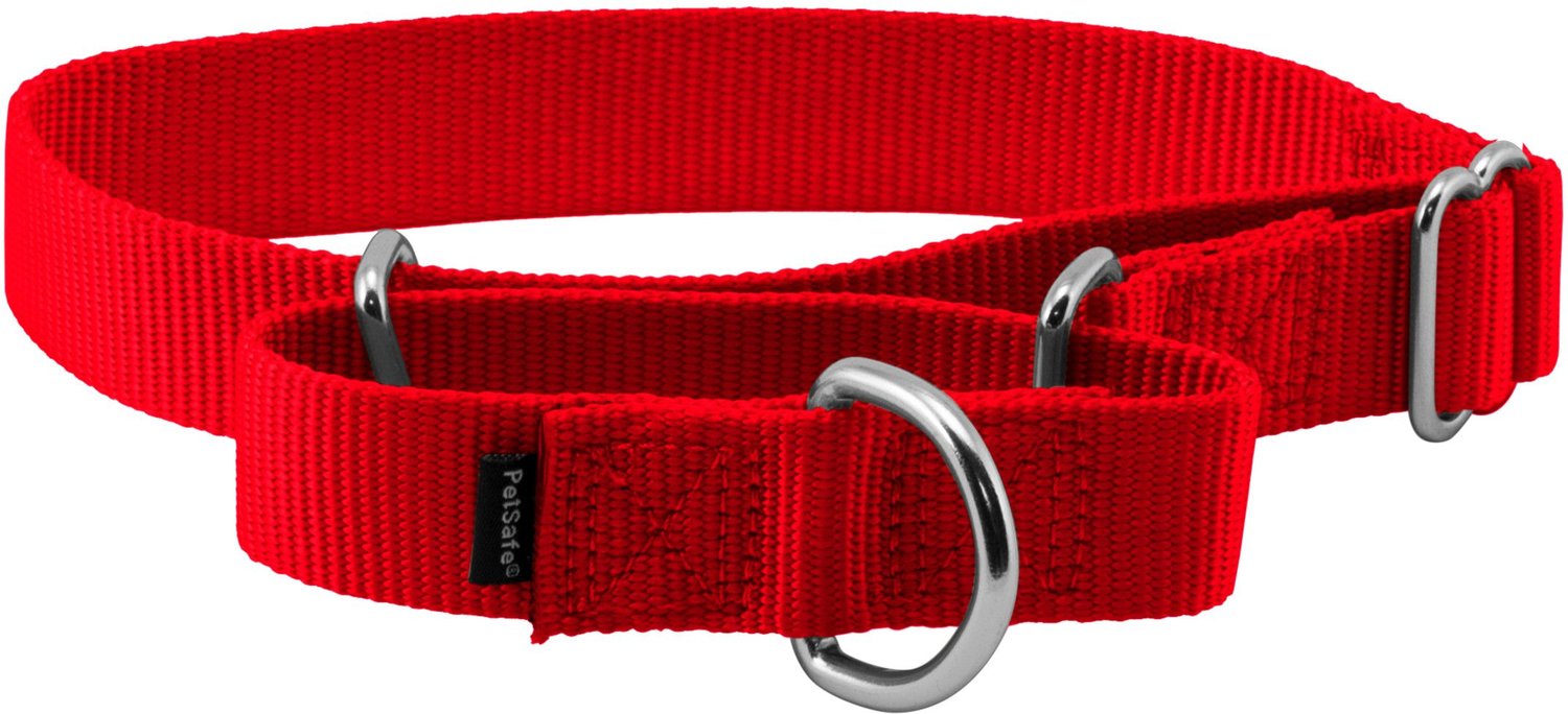 PETSAFE Nylon Martingale Dog Collar, Red, Medium: 10 to 16-in neck, 1 ...