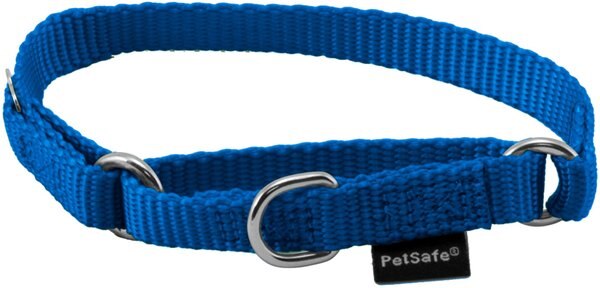 PetSafe Nylon Martingale Dog Collar, Royal Blue, Petite: 5 to 8-in neck, 3/8-in wide slide 1 of 4