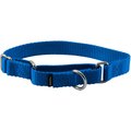 PetSafe Nylon Martingale Dog Collar, Royal Blue, Small: 8 to 12-in neck, 3/4-in wide